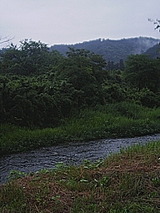 050629_0743~01.jpg
