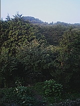 050805_0551~01.jpg