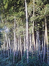 20d222f0.jpg