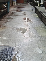 212cc981.jpg