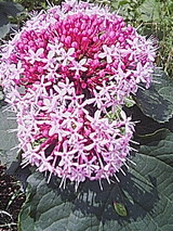 050705_1020~01.jpg