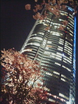 2c6b3011.jpg