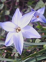 320bf959.jpg