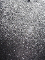 45f21808.jpg