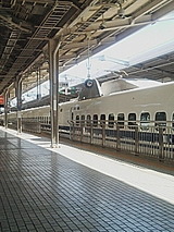 498aa9f4.jpg