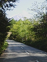 050517_1552~01.jpg