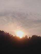 503f444b.jpg