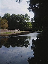 050510_1437~01.jpg