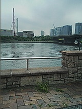 050708_1450~01.jpg