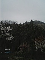 050411_0927~01.jpg