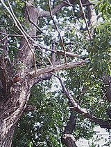 050719_1330~01.jpg