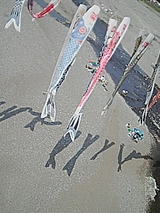 050429_1403~01.jpg