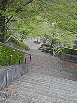 050426_0857~01.jpg