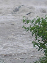 050726_1545~01.jpg