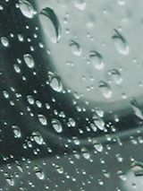 591f7b5e.jpg