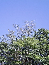 050516_1454~01.jpg
