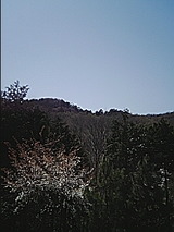 5d388d4b.jpg