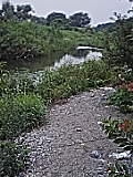 050719_1147~01.jpg