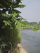 050627_0854~01.jpg
