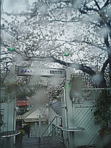 050411_ｃａｎａｌｃａｆｅ.jpg