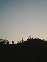 6d559b8f.jpg
