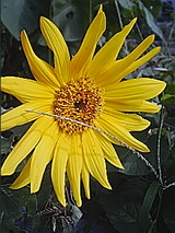 711743e3.jpg