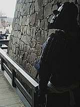 7bda2931.jpg