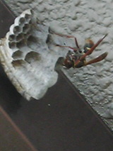 050605_1435~01.jpg