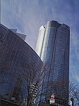 7d867795.jpg