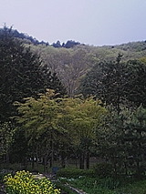 050418_1659~01.jpg