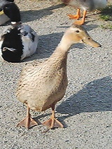 050422_1651~01.jpg