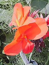 050705_1018~01.jpg