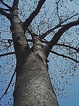 050331_1000~01.jpg