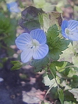 050419_1047~01.jpg