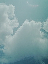 8e5020d4.jpg