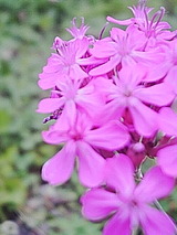 050624_1419~01.jpg