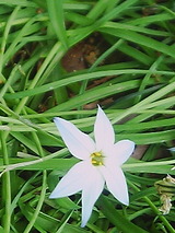 050502_1614~01.jpg