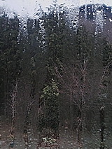 97d235f1.jpg