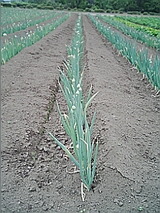 050506_1225~01.jpg