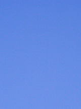 050613_1627~01.jpg