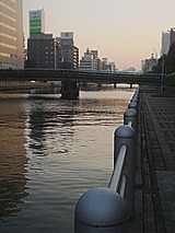 a5084896.jpg