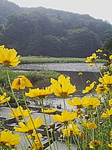 050715_1503~01.jpg