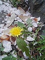 050408_1123~01.jpg