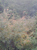bac9098a.jpg