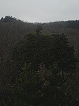 bd7892f1.jpg