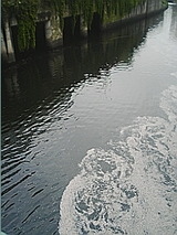 050416_1331~01.jpg