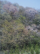 050419_1048~01.jpg