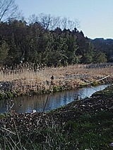 c85c0f61.jpg