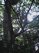 050510_1540~01.jpg
