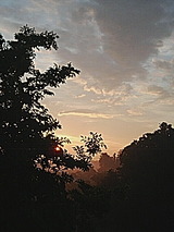 050523_0447~01.jpg